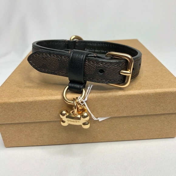 Coach Other Coach Small Pet Coated Canvas Collar Signature Poshmark